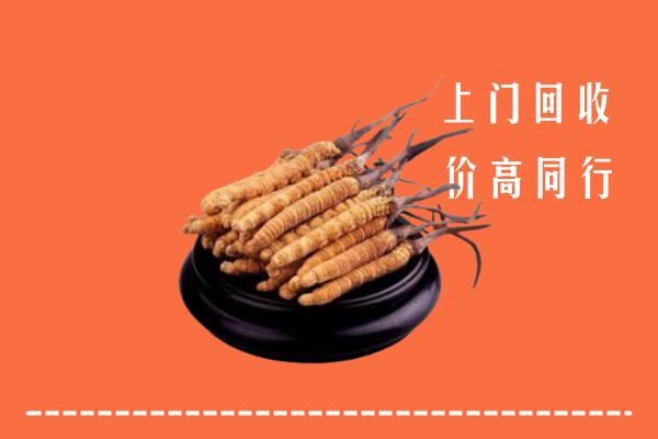 收购行情：城口县冬虫夏草回收多少钱每克