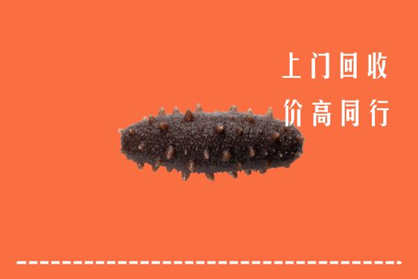 城口县高价回收海参